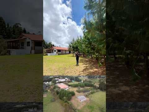 Finca de 25.000 metros cerca a Medellin$3.790 millones